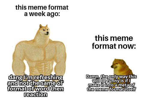 buff doge : r/memes