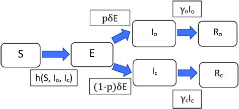 Flow chart of the modified SEIR model. Compartments of the modified ...