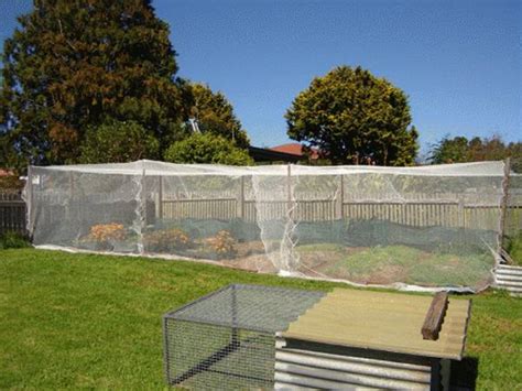 Bird Netting Protects Orchard From Birds, Mesh 6mm x 6 mm