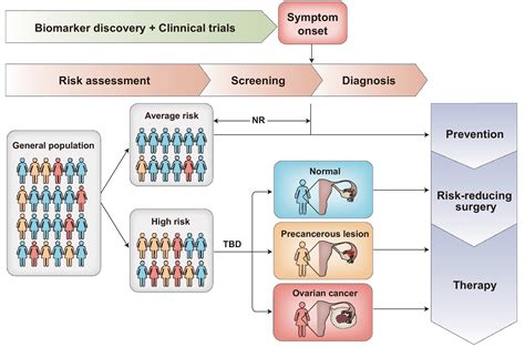 Multi-omics approaches for biomarker discovery in early ovarian cancer diagnosis - eBioMedicine