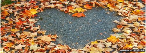 Autumn Leaves Facebook Covers