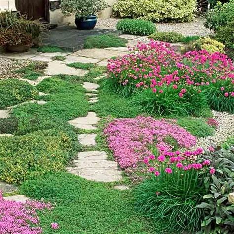 17 Best images about Groundcover | Boulevard | Rock Garden on Pinterest ...