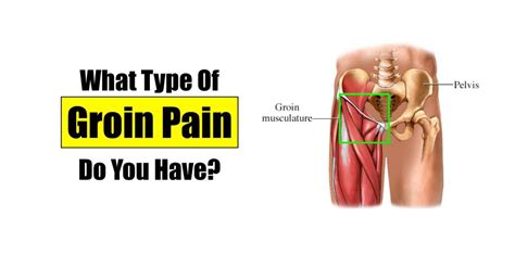 Pin on Mastery through the body