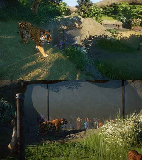 Experimental tiger habitat showcasing a walk-thorugh tunnel underneath! 🐯 : r/PlanetZoo