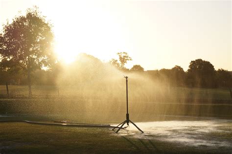 Free Images : tree, grass, lawn, sunlight, rain, leaf, city, summer, stream, green, weather ...