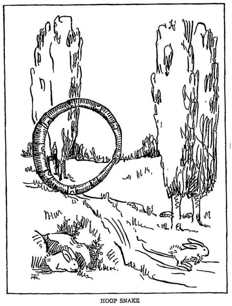 TIL about hoop snakes, a animal from Australian/American folklore that ...