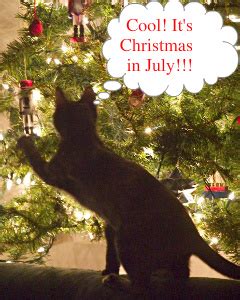 True Book Addict...Books, Cats, and More: Christmas in July Event Giveaway