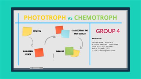 PHOTOTROPH VS CHEMOTROPH by JULIA AMEERA BINTI JOHARI A19SC0486 on Prezi