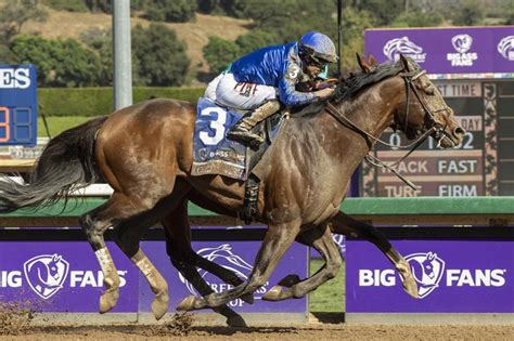 Cody's Wish named Horse of the Year - UPI.com