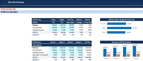 Executive Summary Excel Template