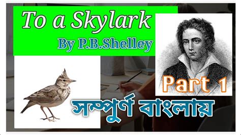 To a Skylark by P. B. Shelley 1st Part | Summary & Explanation in ...