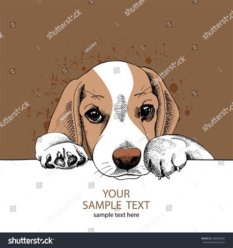 210 Sad beagle Stock Illustrations, Images & Vectors | Shutterstock