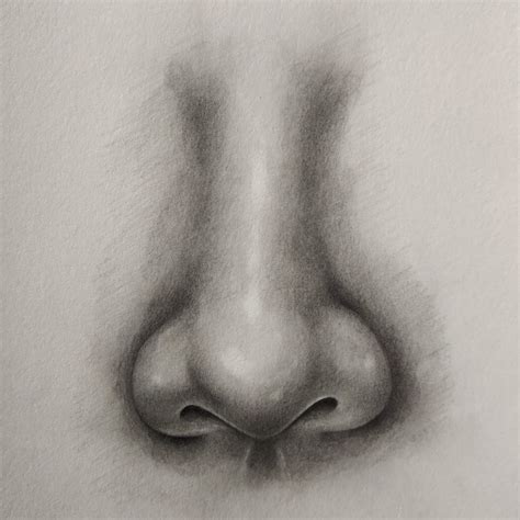 Drawing Nose