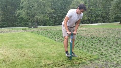 How to plant Zoysia grass plugs (with video) | ProPlugger