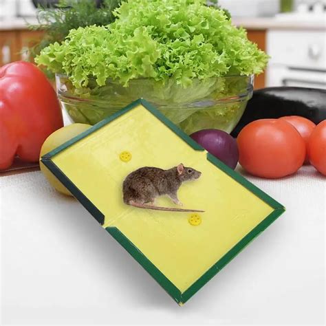 Thickening Super Strong Sticky Mice Traps Mouse Glue Boards Rat Glue ...