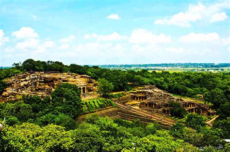 Why The Bhitarkanika Mangroves In Odisha Are Visited By A Million ...