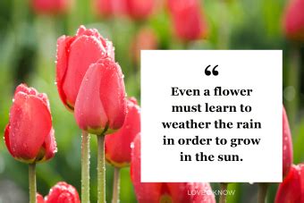 31 Flower Quotes About Love and Life | LoveToKnow