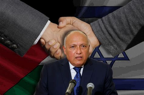 Egyptian FM expresses to revive Palestine-Israel peace talks