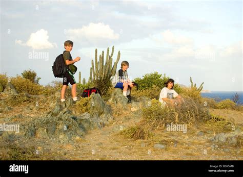 Hiking in St. John U.S. Virgin Islands Stock Photo - Alamy