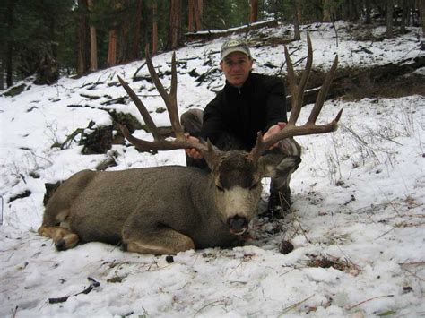 Hunting Idaho: Boone & Crocket Mule Deer (Idaho) 41" Buck