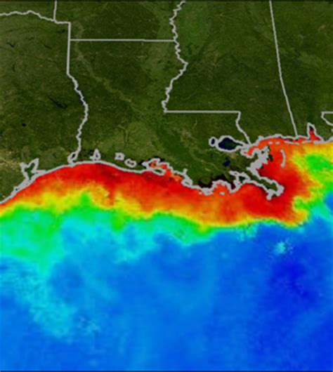 Environmental Monitor | Gulf of Mexico dead zone fix would cost ...