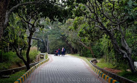 Cranium Bolts: Weekend trip to Bannerghatta National Park