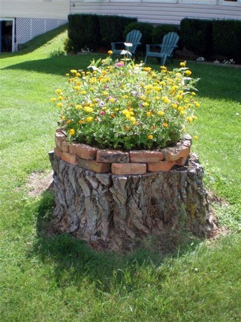 61 best images about Tree Stump Ideas on Pinterest | House, Gardens and Tree houses