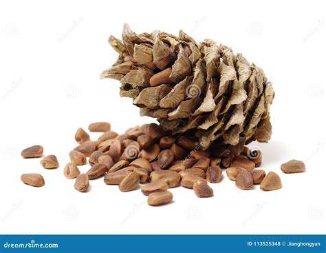 Pine nuts and cones stock photo. Image of background - 113525348