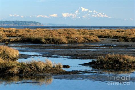 Boundary Bay Photograph by Frank Townsley | Fine Art America