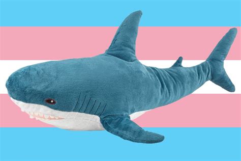 How the IKEA Shark Became a Trans Icon - Newsweek