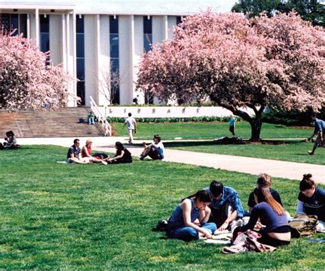 UNC Asheville Opens the Fall 2015 Semester with Largest First-Year Class - Asheville.com