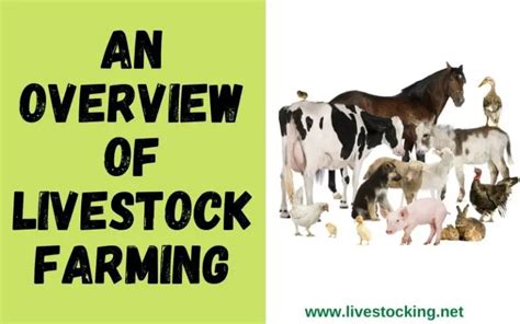 Livestock Farming: Definition, Benefits & Types