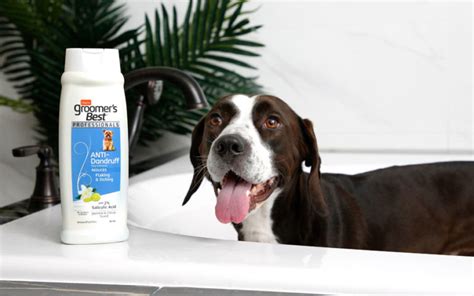 Hartz® Groomer’s Best Professionals Anti-Dandruff Dog Shampoo - 18oz. | Hartz