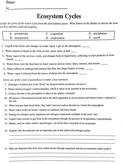 Exploring Cycles of Matter: Engaging Worksheets for Understanding ...