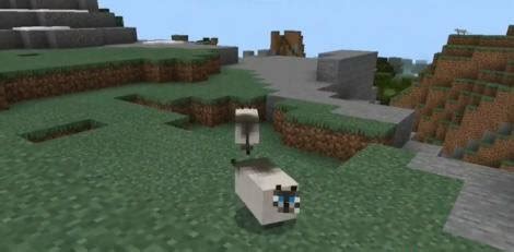 Fat Cats for Minecraft Pocket Edition 1.15