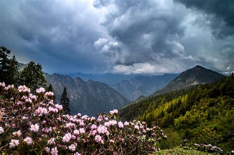 A guide to escaping to Kasol from Delhi | Times of India Travel