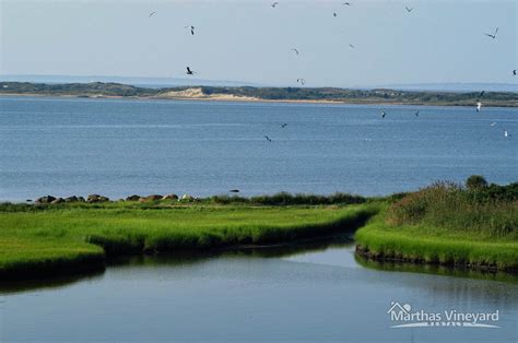 Vacation in Chilmark on Martha's Vineyard Island