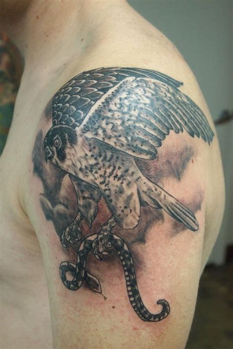 #Peregrines #falcon #bird tattoo | Falcon tattoo, Tattoos, Animal tattoos