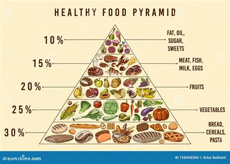 Healthy Food Plan Pyramid. Infographics for Balanced Diet Percentage ...