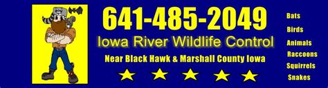 Waterloo Cedar Falls Marshaltown Iowa Animal Control Trapping ...