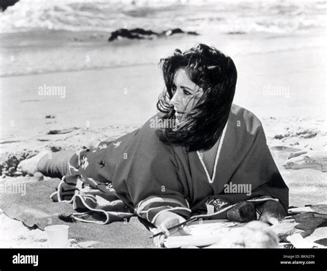 Sandpiper 1965 elizabeth taylor sdp hi-res stock photography and images ...