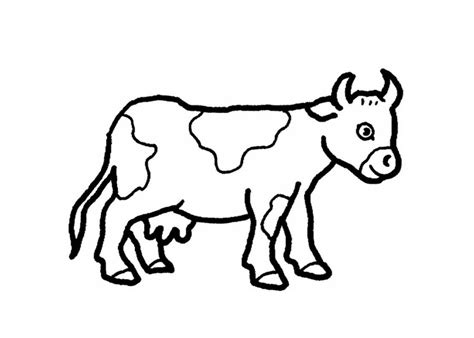 Cartoon Cow Coloring Pages - Cartoon Coloring Pages