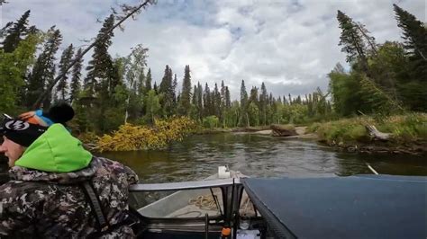 Upper Salcha River, Alaska September 2022 - YouTube