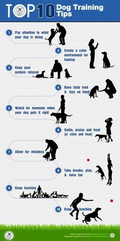 Dog Hand Signals Chart - Bing images | Deaf Dog | Pinterest | Dog ...