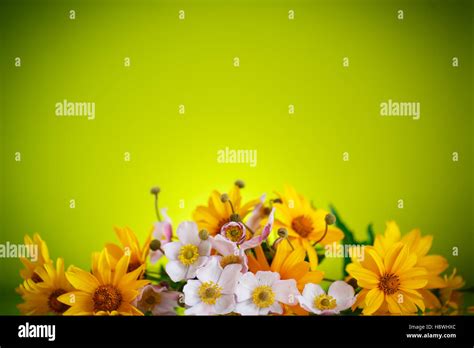 Summer bouquet of yellow daisies Stock Photo - Alamy