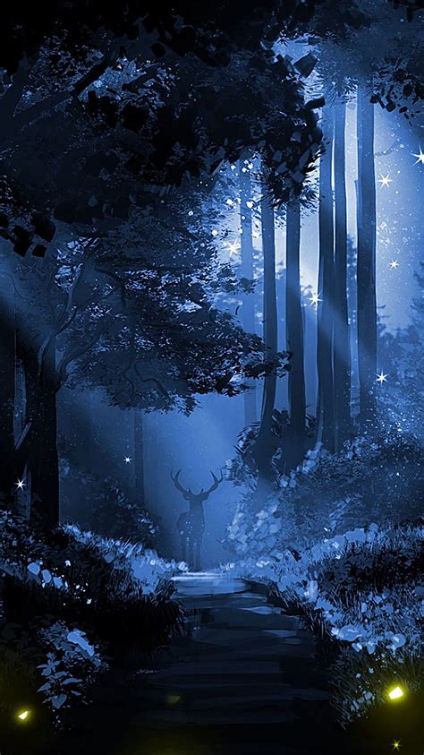 Night Forest, Beautiful Night Forest, HD phone wallpaper | Peakpx