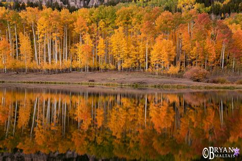 Aspen Fall Colors Reflection - Nature Photography Workshops and ...