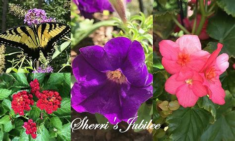 Sherri's Jubilee: Autumn Front Door Wreaths