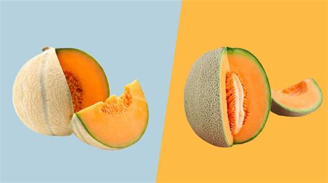 Muskmelon vs. Cantaloupe: What's the Difference?