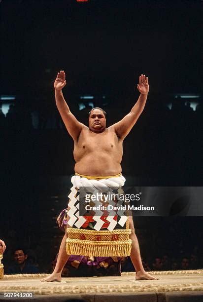 108 Akebono Tarō Photos & High Res Pictures - Getty Images